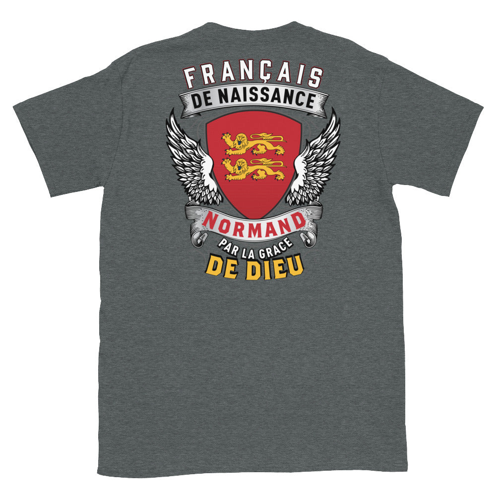 T-shirt Normand bleu marine - Français de Naissance, Normand par la grace de Dieu