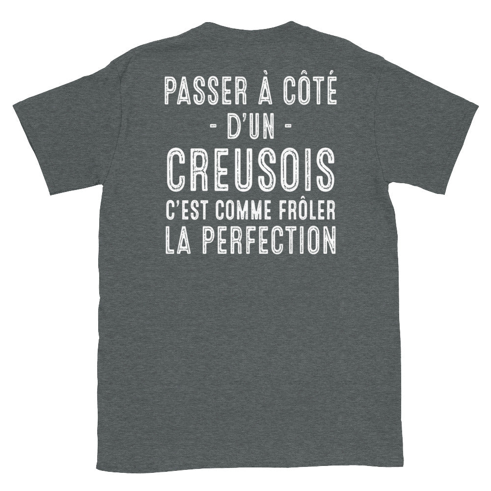 T-shirt Creusois gris foncé dos - Passer à côté d'un Creusois