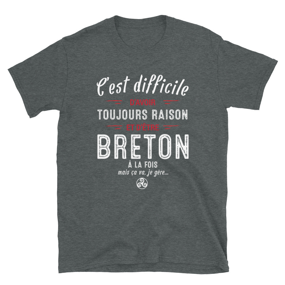 Breton Raison - T-shirt Standard - Ici & Là - T-shirts & Souvenirs de chez toi