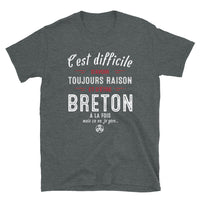 Thumbnail for Breton Raison - T-shirt Standard - Ici & Là - T-shirts & Souvenirs de chez toi