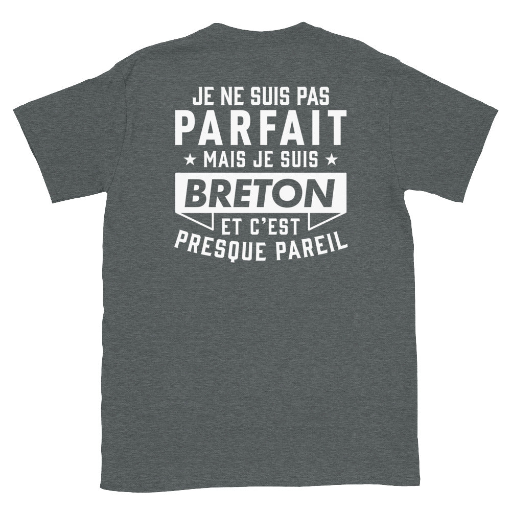 T-shirt Bretagne bleu marine dos - Je ne suis pas parfait mais