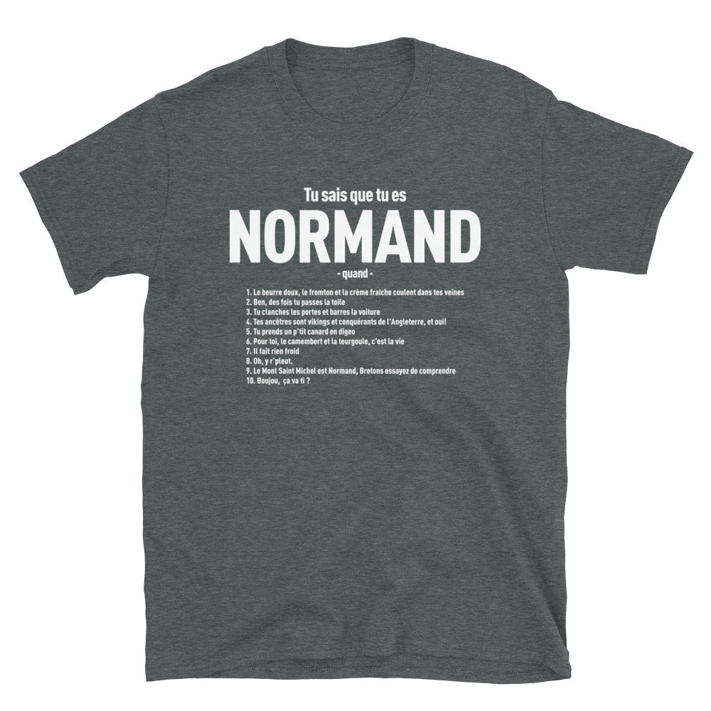 T-shirt Normand gris foncé - Tu sais que tu es normand quand...