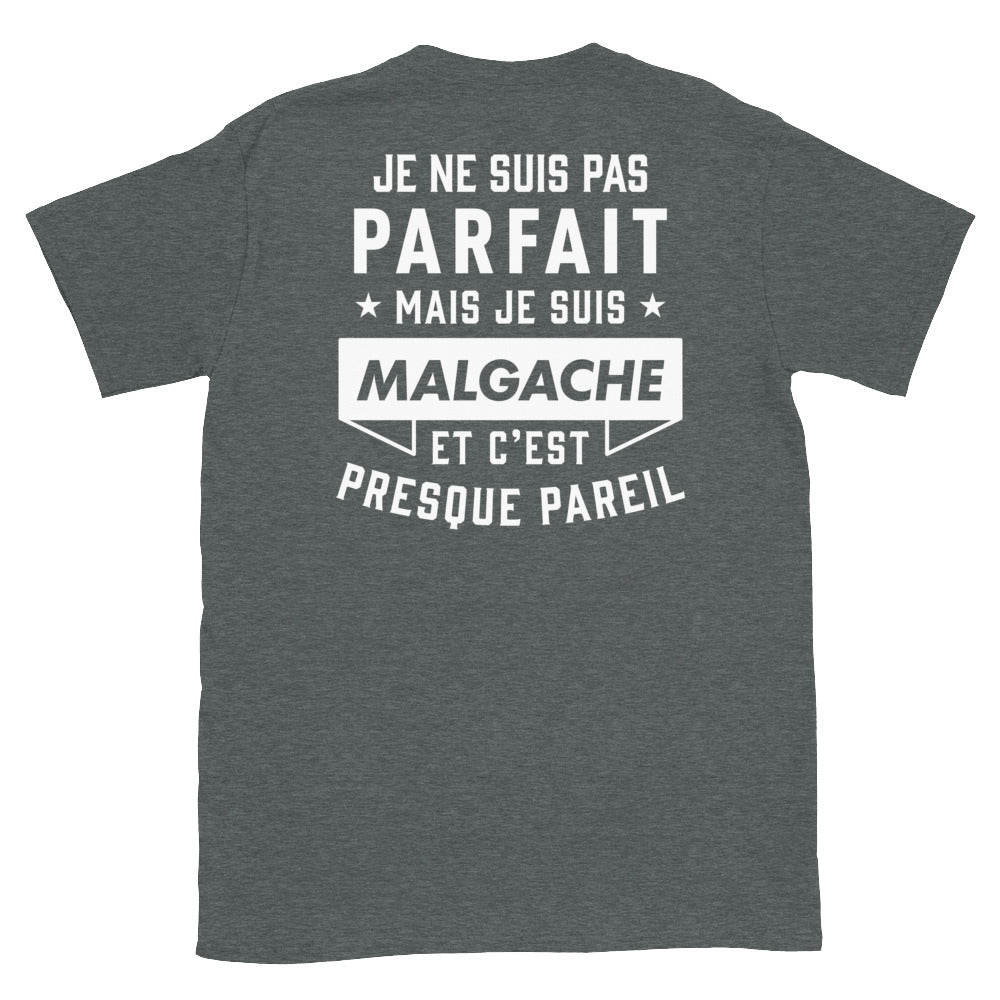 T-shirt Madagascar bleu marine - Je ne suis pas parfait mais