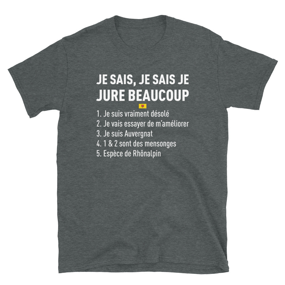 T-shirt Auvergne bleu marine dos - Je jure beaucoup