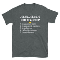 Thumbnail for T-shirt Auvergne bleu marine dos - Je jure beaucoup