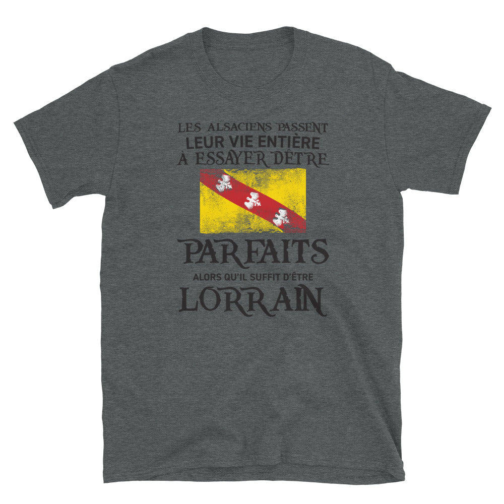 T-shirt Lorrain Parfait blanc dos - Les Alsaciens et leur vie entière