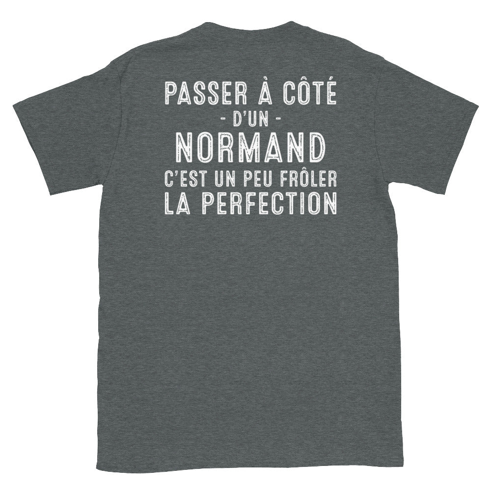 T-shirt Normand noir - Frôler la perfection avec humour