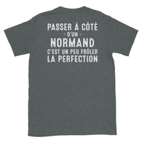 Thumbnail for T-shirt Normand noir - Frôler la perfection avec humour