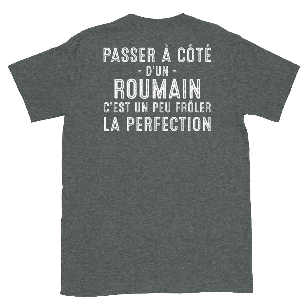 T-shirt Roumain gris foncé - Frôler la perfection avec humour