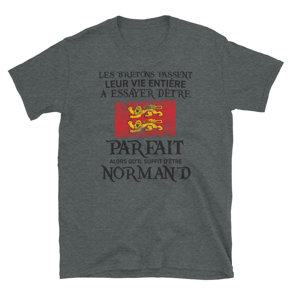 T-shirt Normand gris foncé chiné dos - Être parfait, c'est simple