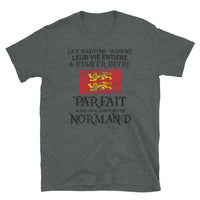 Thumbnail for T-shirt Normand gris foncé chiné dos - Être parfait, c'est simple