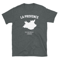 Thumbnail for T-shirt Provence gris foncé chiné dos - Mon histoire commence avec humour