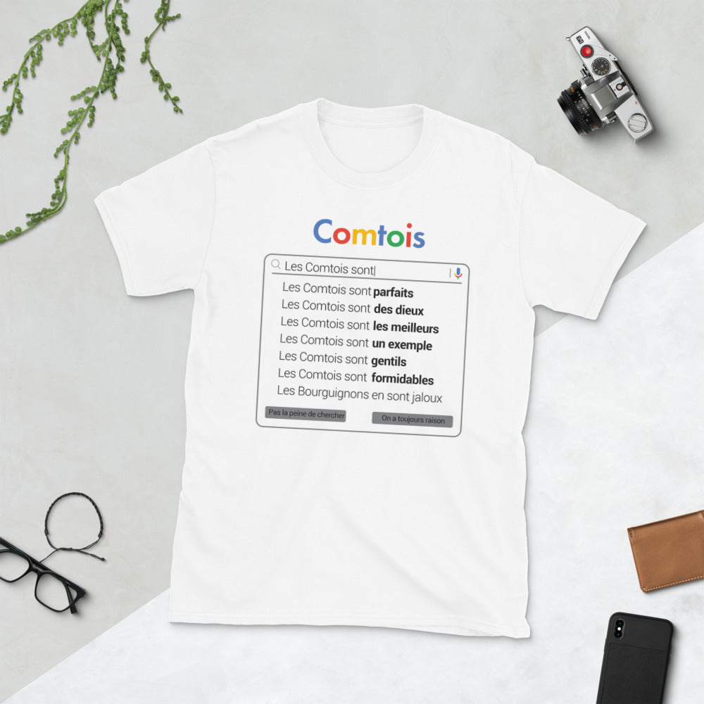 T-shirt Franche-Comté gris foncé dos - Parodie des Comtois