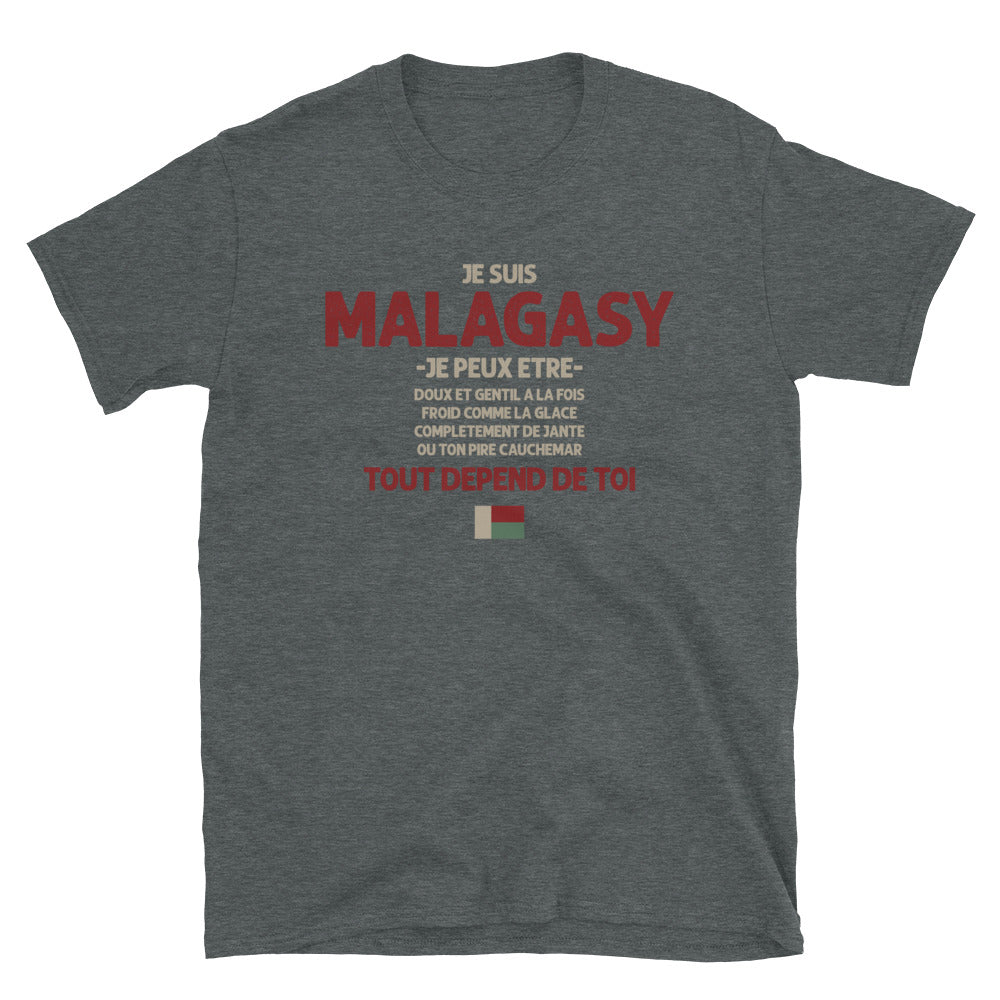 T-shirt Madagascar gris foncé - Malagasy ça dépend de toi