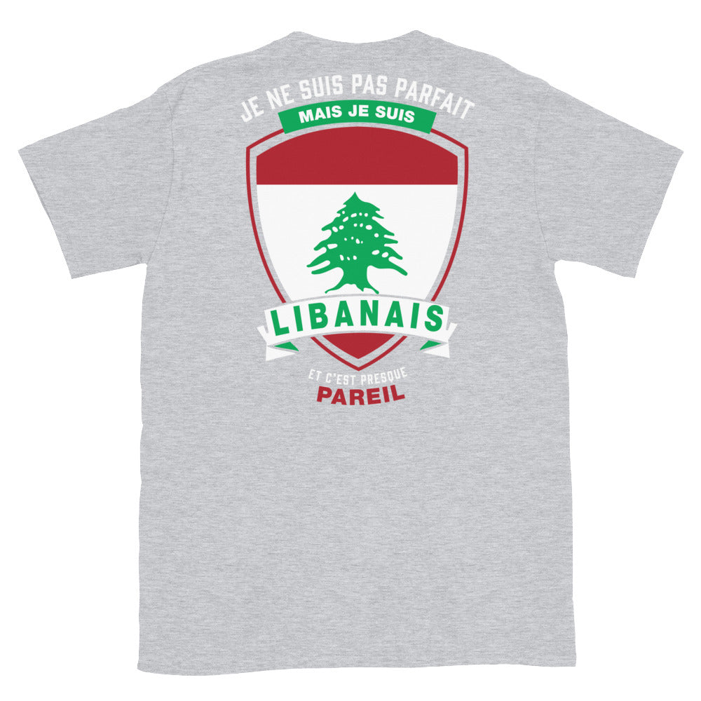 T-shirt Libanais gris sport - Je ne suis pas parfait mais.