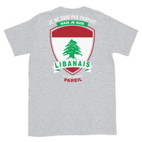 Thumbnail for T-shirt Libanais gris sport - Je ne suis pas parfait mais.