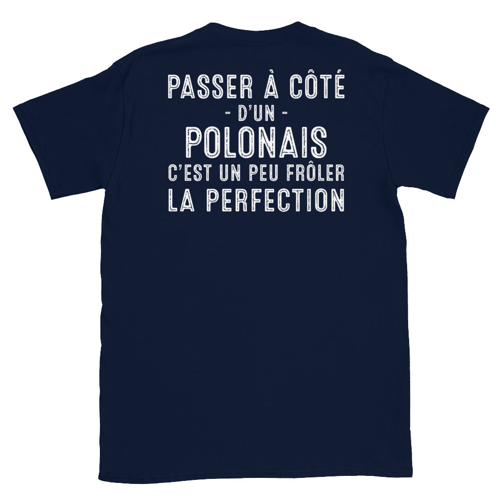 T-shirt Pologne bleu marine dos - Frôler la perfection avec humour