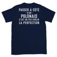 Thumbnail for T-shirt Pologne bleu marine dos - Frôler la perfection avec humour
