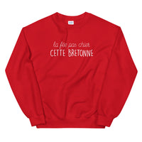 Thumbnail for fée pas chier cette Bretonne - Sweatshirt - Ici & Là - T-shirts & Souvenirs de chez toi