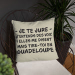 Tire toi en Guadeloupe - Coussin décoratif et humoristique sur la Guadeloupe - Ici & Là - T-shirts & Souvenirs de chez toi