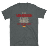Arménien ça dépend de toi - T-shirt Standard - Ici & Là - T-shirts & Souvenirs de chez toi