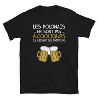 Thumbnail for T-shirt Pologne noir - Les Polonais ne sont pas alcooliques
