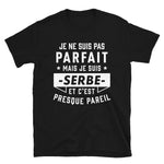 Parfait Serbe v2 -  T-Shirt standard - Ici & Là - T-shirts & Souvenirs de chez toi