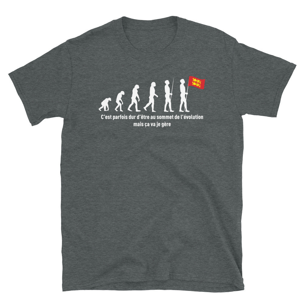 T-shirt Normandie gris foncé chiné dos - Évolution de l'homme humoristique