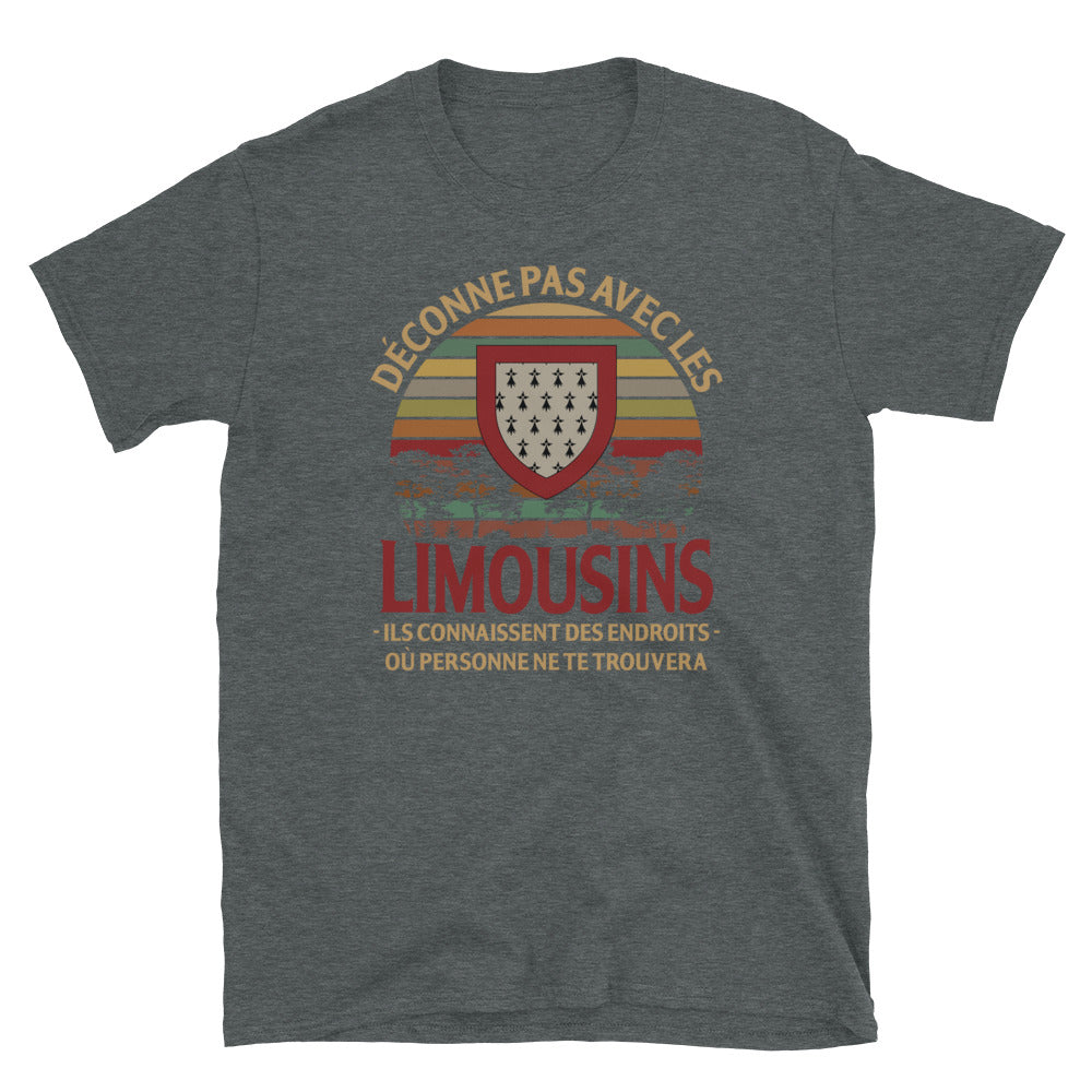 Endroit déconne pas Limousins - T-shirts Unisexe Standard - Ici & Là - T-shirts & Souvenirs de chez toi