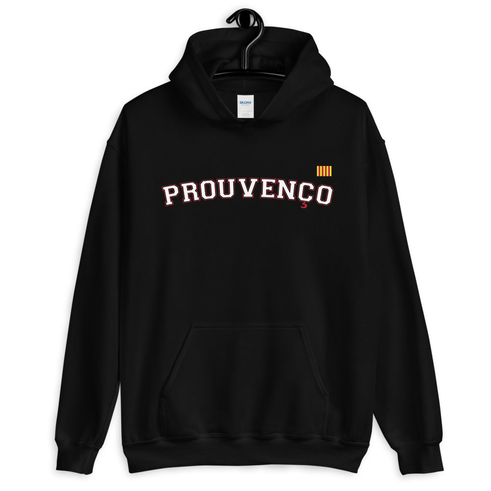 Sweatshirt Provence bleu marine dos - Prouvenço avec drapeau moderne