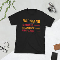 Thumbnail for T-shirt Normand gris foncé chiné - Design humoristique sur les origines