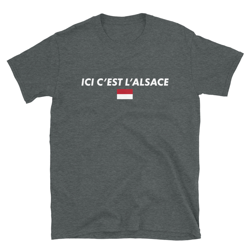T-shirt Alsace bleu marine dos - Rot un Wiss humoristique