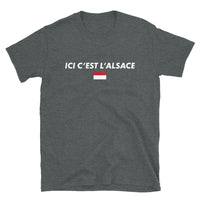 Thumbnail for T-shirt Alsace bleu marine dos - Rot un Wiss humoristique