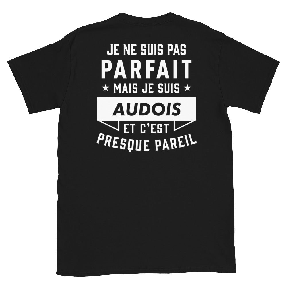 T-shirt Aude noir - Je ne suis pas parfait mais.