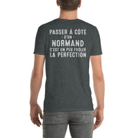 Thumbnail for T-shirt Normand noir dos - Frôler la perfection avec humour