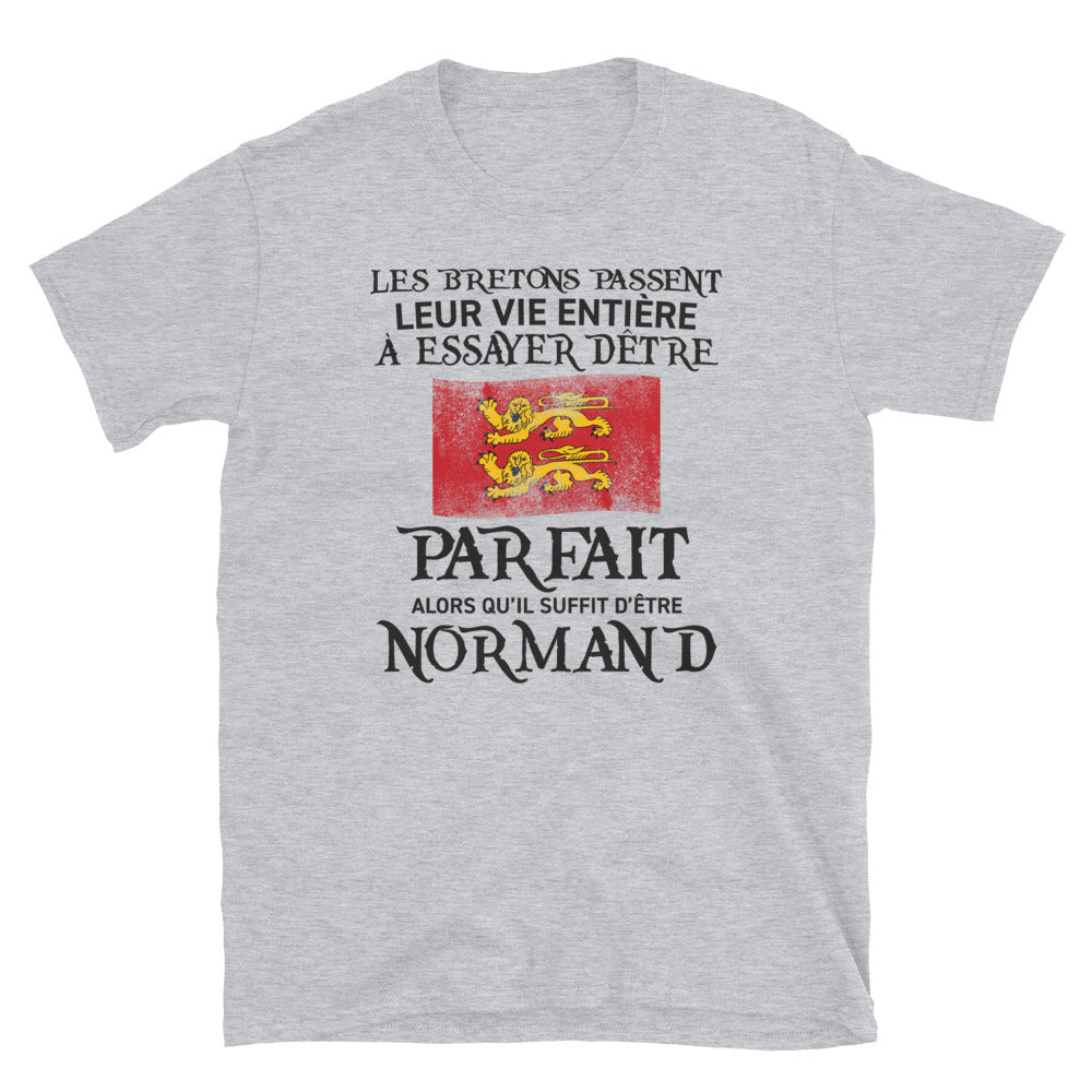 T-shirt Normand blanc dos - Être parfait, c'est simple