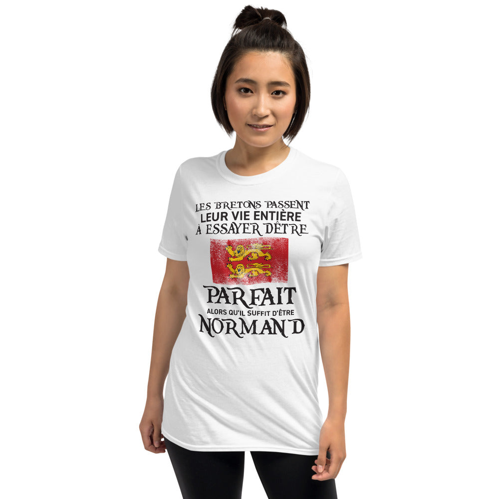 T-shirt Normand gris sport - Être parfait, c'est simple