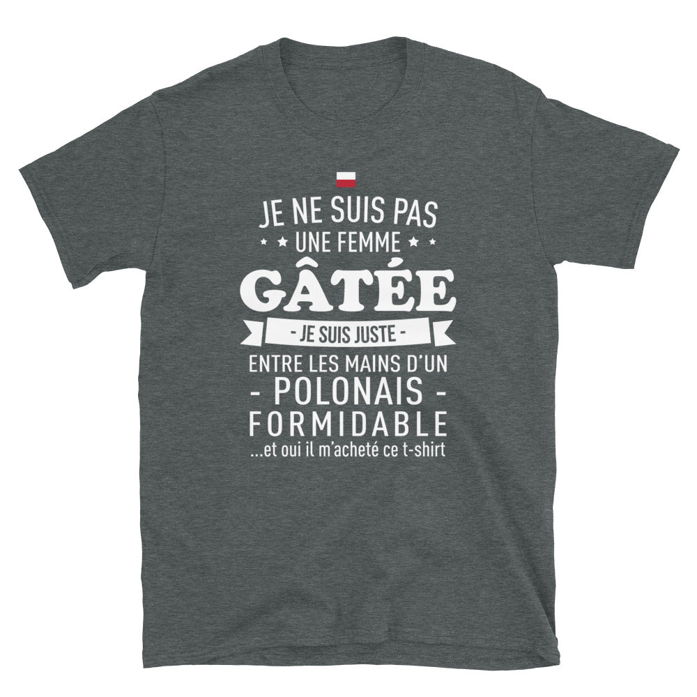 T-shirt Polonais gris foncé chiné dos - Je ne suis pas gâtée, juste entre les mains d'un Polonais