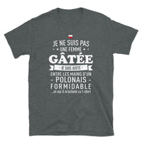 Thumbnail for T-shirt Polonais gris foncé chiné dos - Je ne suis pas gâtée, juste entre les mains d'un Polonais
