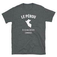 Thumbnail for T-shirt Pérou gris foncé chiné dos - Mon histoire commence avec fierté