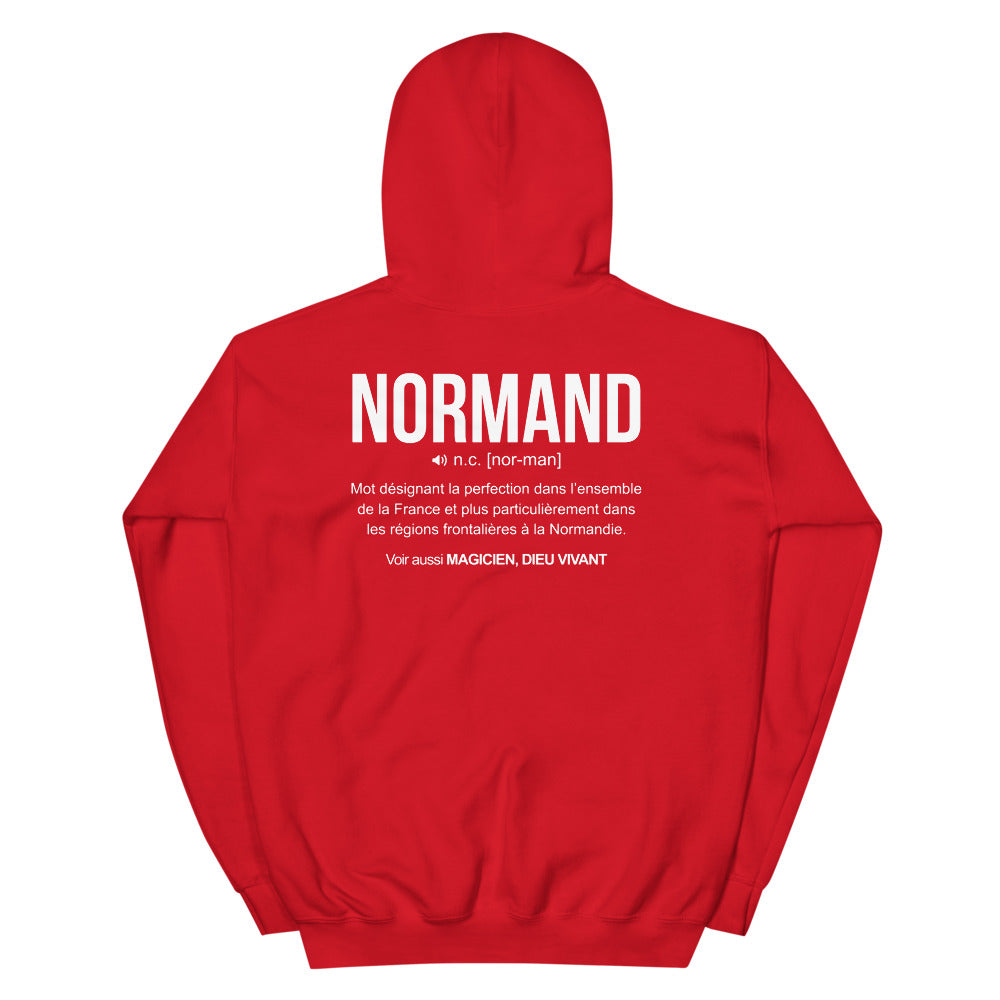 Sweat à capuche Normand bleu marine dos - Définition humoristique