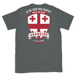 parfait-georgien T-shirt Standard - Ici & Là - T-shirts & Souvenirs de chez toi