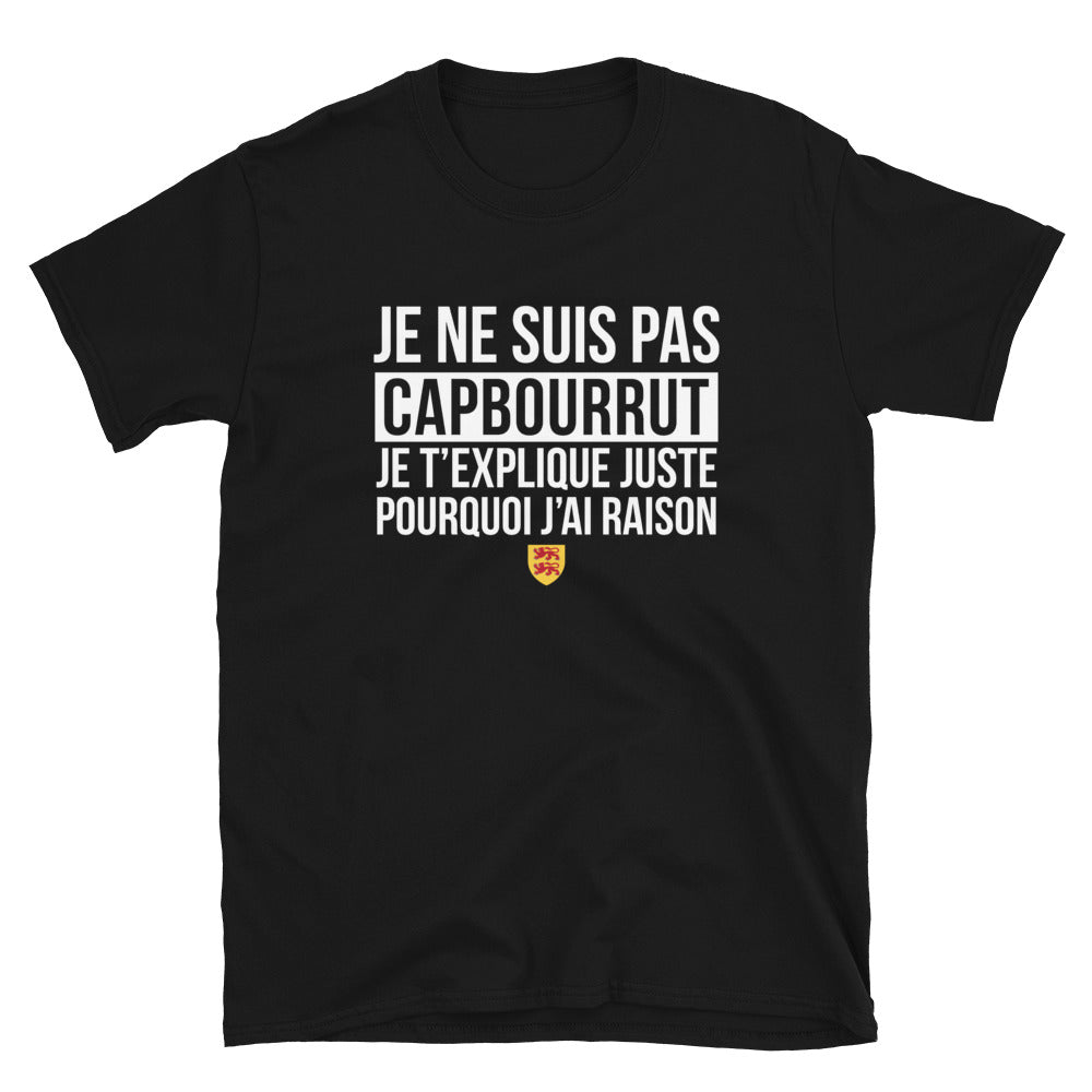 T-shirt Bigorre noir - Je ne suis pas Capbourrut