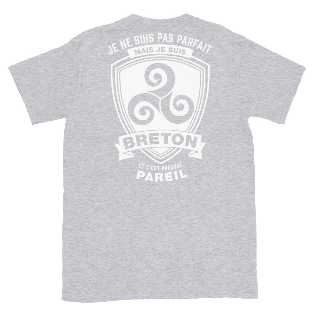 T-shirt Bretagne gris foncé dos - Je ne suis pas parfait mais je suis breton