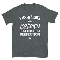 Thumbnail for T-shirt Lozérien gris foncé chiné - Frôler la perfection
