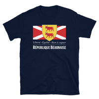 Thumbnail for T-shirt Béarn gris foncé chiné - Drapeau de l'union gasconne