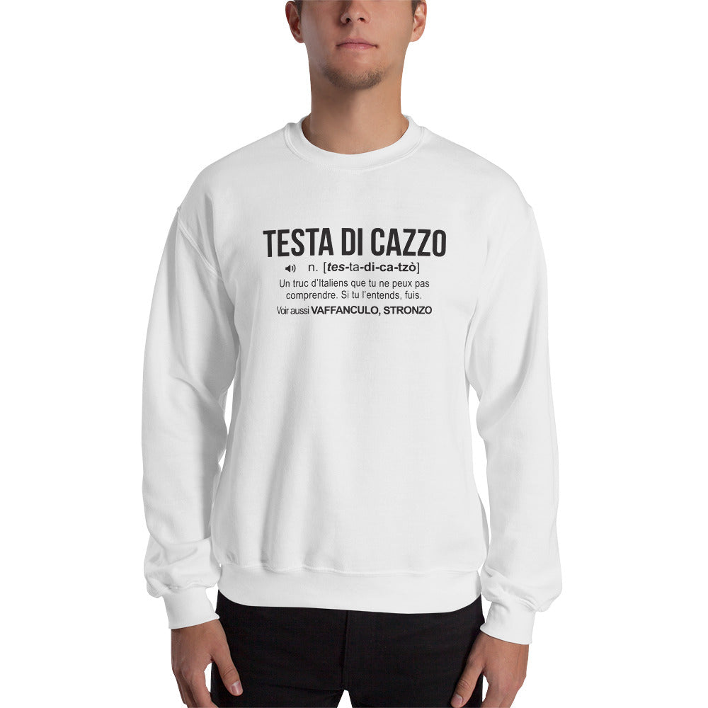 Sweatshirt Italie gris sport - Testa Di Cazzo avec humour