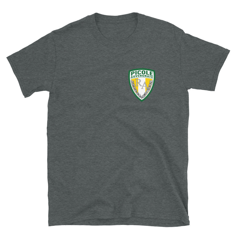 T-shirt Auvergne gris foncé dos - Picole avec humour