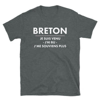 Thumbnail for Breton veni vedi pas vici - T-shirt Standard - Ici & Là - T-shirts & Souvenirs de chez toi