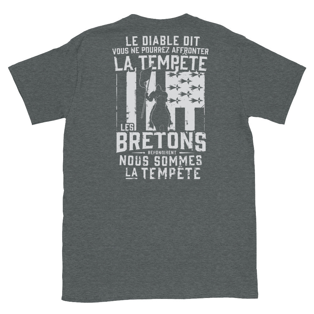 T-shirt Bretagne gris foncé chiné - Les Bretons, nous sommes la tempête